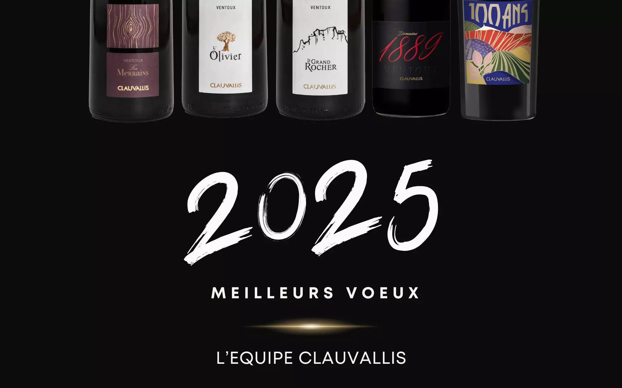 Voeux 2025