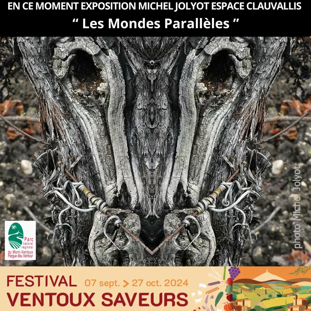 FESTIVAL VENTOUX SAVEURS EXPOSITION Les Mondes Parallèles de MICHEL JOLYOT